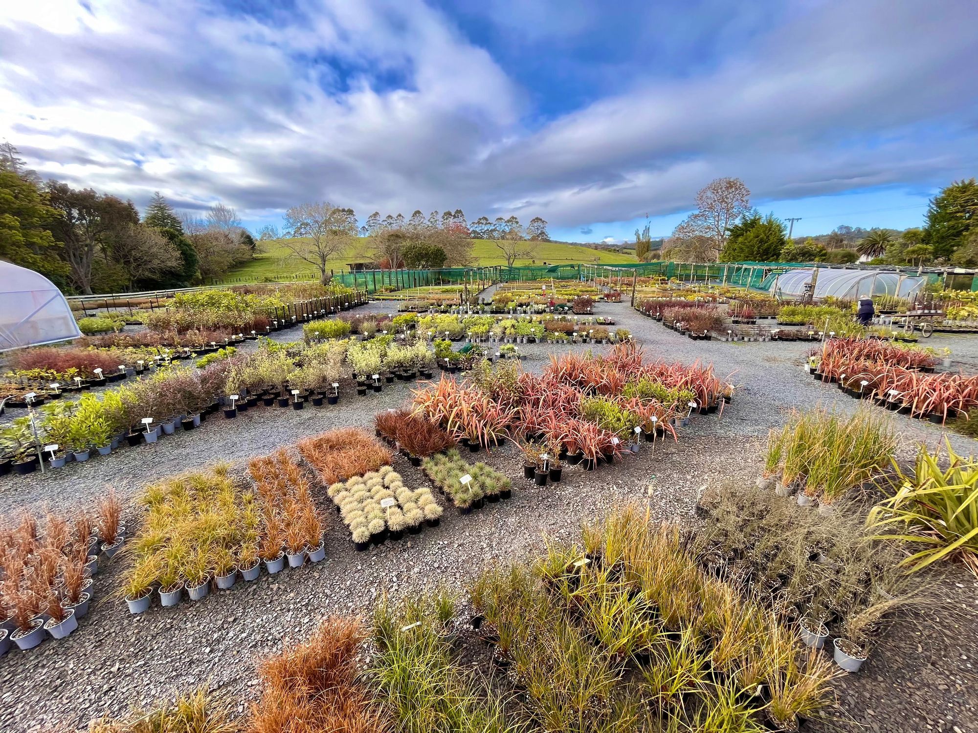 Kerikeri Plant Production